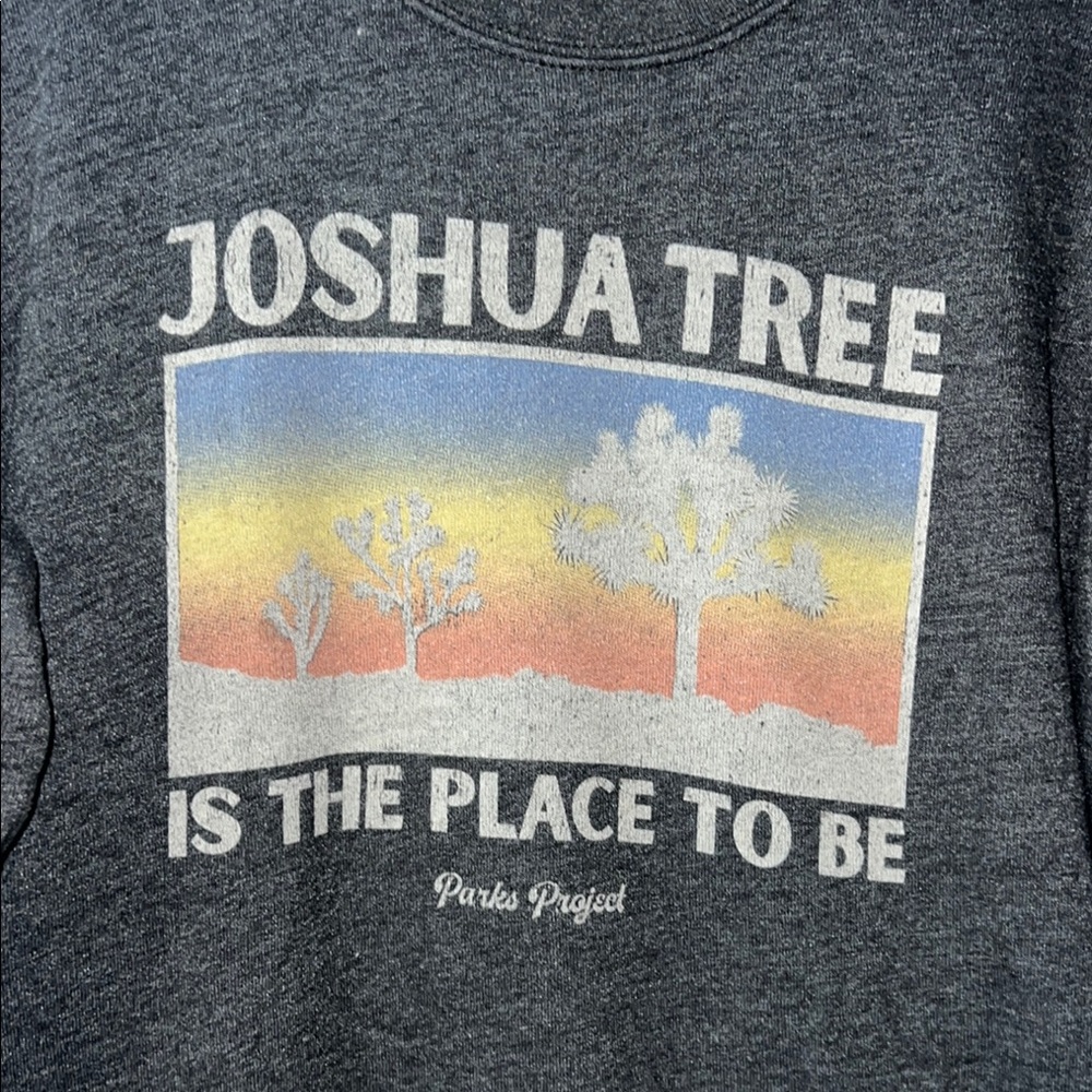 Parks Project Charcoal Joshua Tree Sunset Sweatshirt